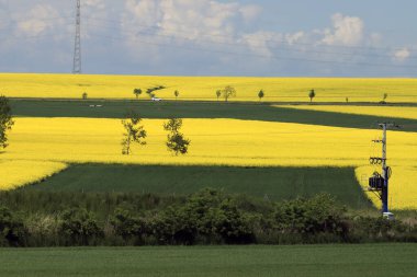 Sleza Peyzaj Parkı, Sleza Dağı 'nın eteklerinde, Polonya' nın güneybatısında, Avrupa. Bahar manzarası.