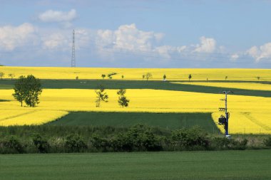 Sleza Peyzaj Parkı, Sleza Dağı 'nın eteklerinde, Polonya' nın güneybatısında, Avrupa. Bahar manzarası.