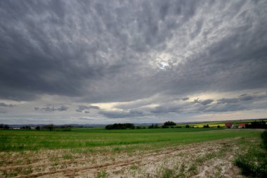 Sleza Peyzaj Parkı, Sleza Dağı eteklerinde, Polonya 'nın güneybatısında, Avrupa.