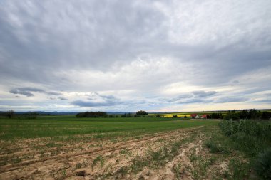 Sleza Peyzaj Parkı, Sleza Dağı eteklerinde, Polonya 'nın güneybatısında, Avrupa.