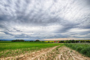 Sleza Peyzaj Parkı, Sleza Dağı eteklerinde, Polonya 'nın güneybatısında, Avrupa.
