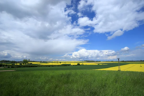 Sleza Peyzaj Parkı, Sleza Dağı 'nın eteklerinde, Polonya' nın güneybatısında, Avrupa. Bahar manzarası.