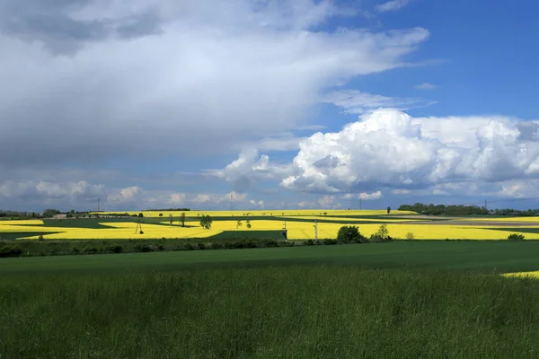 Sleza Peyzaj Parkı, Sleza Dağı 'nın eteklerinde, Polonya' nın güneybatısında, Avrupa. Bahar manzarası.