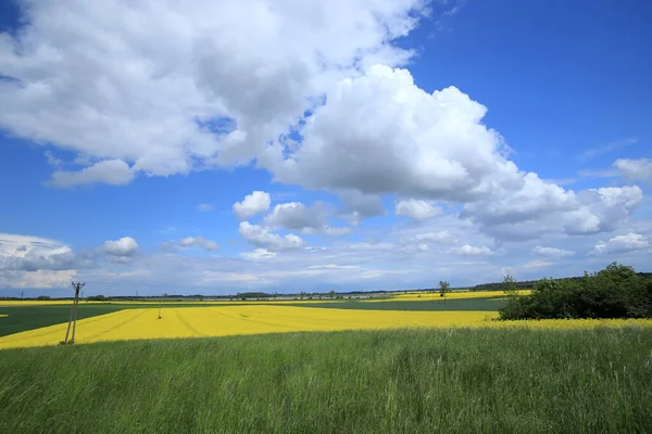 Sleza Peyzaj Parkı, Sleza Dağı 'nın eteklerinde, Polonya' nın güneybatısında, Avrupa. Bahar manzarası.