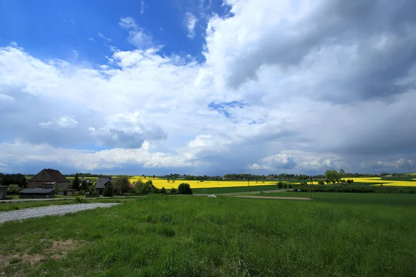 Sleza Landscape Park Στους Πρόποδες Του Όρους Sleza Στη Νοτιοδυτική — Φωτογραφία Αρχείου