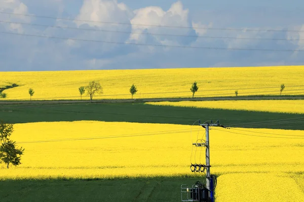Sleza Peyzaj Parkı, Sleza Dağı 'nın eteklerinde, Polonya' nın güneybatısında, Avrupa. Bahar manzarası.