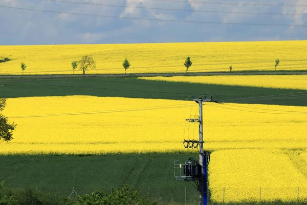 Sleza Peyzaj Parkı, Sleza Dağı 'nın eteklerinde, Polonya' nın güneybatısında, Avrupa. Bahar manzarası.