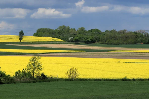 Sleza Peyzaj Parkı, Sleza Dağı 'nın eteklerinde, Polonya' nın güneybatısında, Avrupa. Bahar manzarası.
