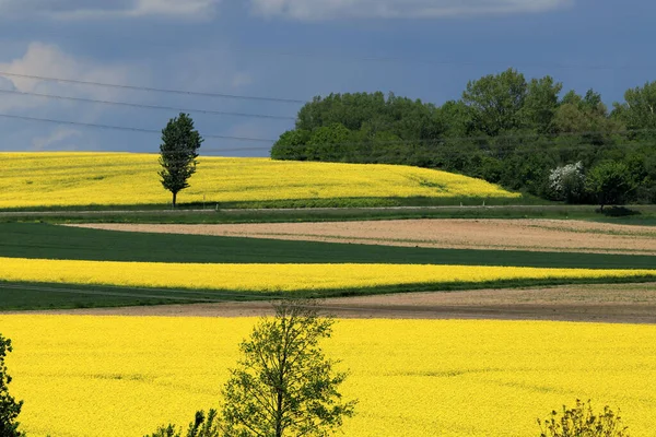 Sleza Peyzaj Parkı, Sleza Dağı 'nın eteklerinde, Polonya' nın güneybatısında, Avrupa. Bahar manzarası.