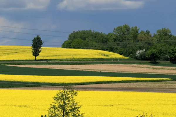Sleza Peyzaj Parkı, Sleza Dağı 'nın eteklerinde, Polonya' nın güneybatısında, Avrupa. Bahar manzarası.