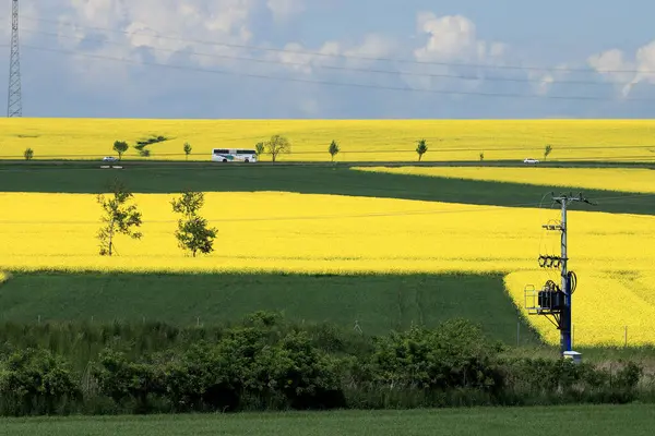 Sleza Peyzaj Parkı, Sleza Dağı 'nın eteklerinde, Polonya' nın güneybatısında, Avrupa. Bahar manzarası.