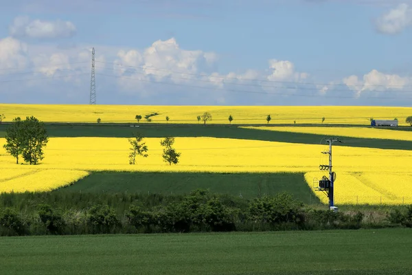 Sleza Peyzaj Parkı, Sleza Dağı 'nın eteklerinde, Polonya' nın güneybatısında, Avrupa. Bahar manzarası.