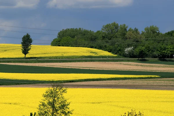 Sleza Peyzaj Parkı, Sleza Dağı 'nın eteklerinde, Polonya' nın güneybatısında, Avrupa. Bahar manzarası.