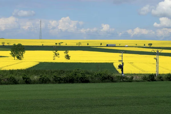 Sleza Peyzaj Parkı, Sleza Dağı 'nın eteklerinde, Polonya' nın güneybatısında, Avrupa. Bahar manzarası.