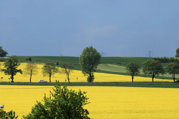 Landschaftspark Sleza Fuße Des Sleza Gebirges Südwesten Polens Europa Frühlingslandschaft — Stockfoto