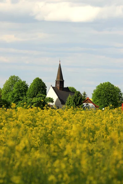 WROCLAW, POLAND - 24 Mayıs 2021: Gogolow 'daki St. Martin Kilisesi Sleza Dağı eteklerinde, çiçek açan tecavüz tarlalarıyla çevrili.