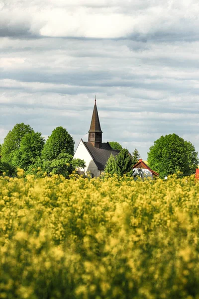 WROCLAW, POLAND - 24 Mayıs 2021: Gogolow 'daki St. Martin Kilisesi Sleza Dağı eteklerinde, çiçek açan tecavüz tarlalarıyla çevrili.