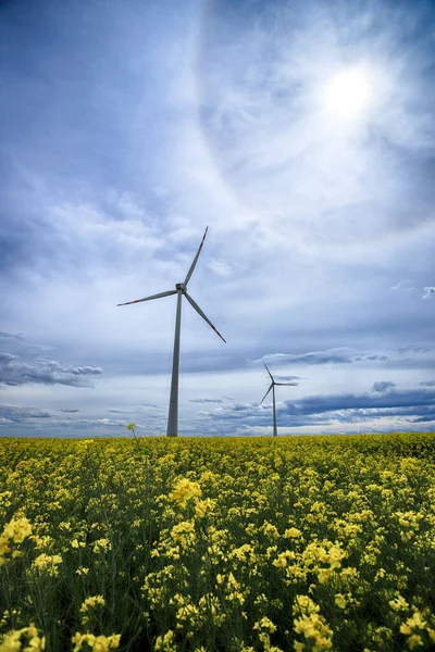 Het Halo Effect Een Optisch Fenomeen Atmosfeer Van Aarde Dat — Stockfoto