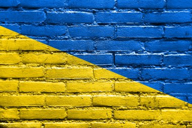 tuğla duvara boyalı Ukrayna bayrağı