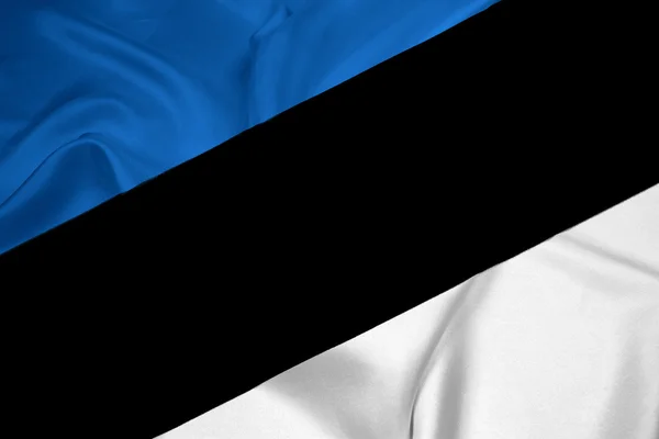 Bandiera Estonia sventolante — Foto Stock