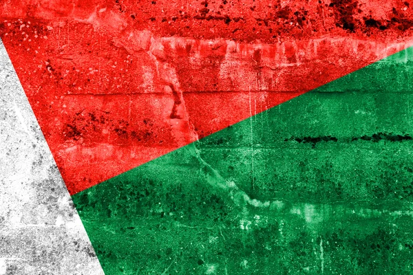 Madagaskar-Fahne an Grunge-Wand gemalt — Stockfoto