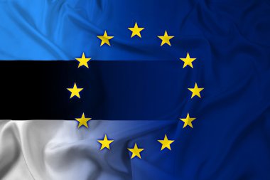 Estonya ve Avrupa Birliği bayrağı sallayarak