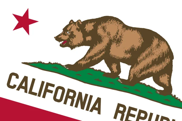 California State Flag. Close up. — Stock Photo, Image