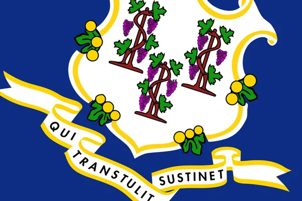 Vlajka státu Connecticut. zblízka. — Stock fotografie