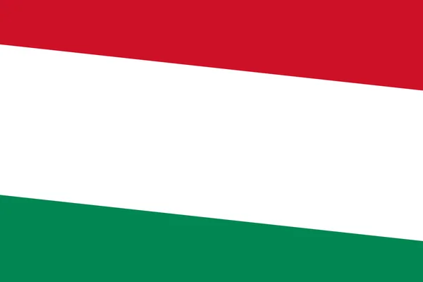 Vlajka Maďarska. zblízka. — Stock fotografie