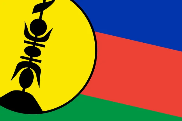 New Caledonia Flag. Close up. — Stock Photo, Image