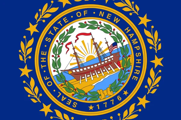 Neue Flagge des Staates Hampshire. Nahaufnahme. — Stockfoto