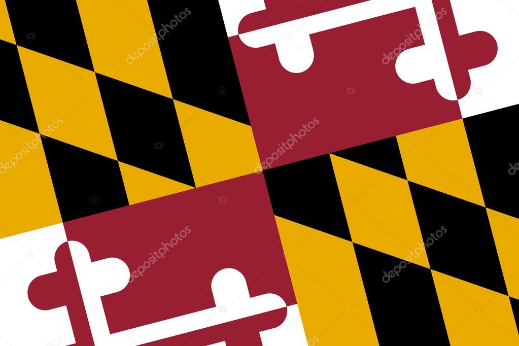 Maryland State Flag. Close up.