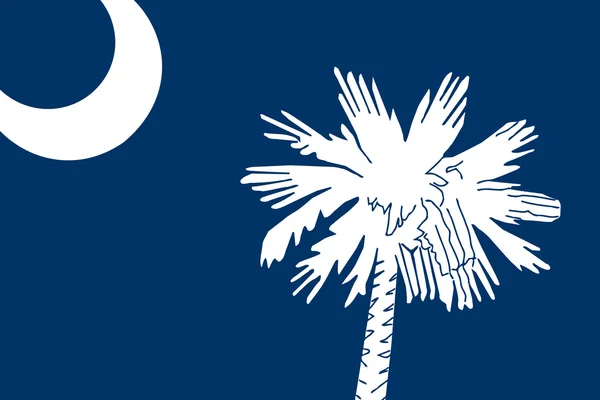 South Carolina State Flagge. Nahaufnahme. — Stockfoto