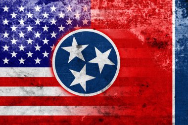 ABD ve Tennessee Devlet bayrağı vintage ve eski bir görünüm ile