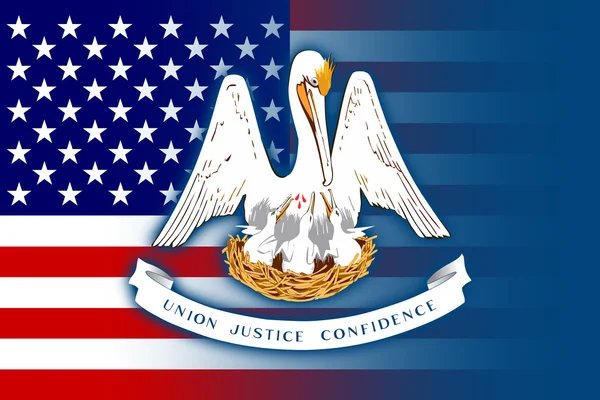 Verenigde Staten- en Louisiana vlag — Stockfoto
