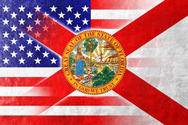 Boyalı deri dokusu üzerinde ABD ve Florida Devlet bayrağı