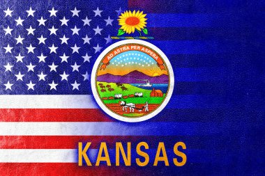 Boyalı deri dokusu üzerinde ABD ve Kansas Devlet bayrağı