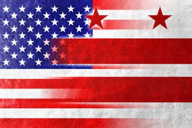ABD ve Washington Dc bayrak deri dokusu üzerinde boyalı