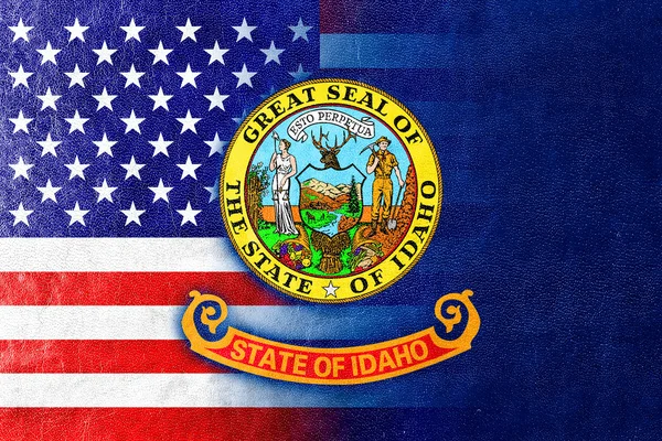 革の質感に描かれたアメリカ、アイダホ州の旗 — ストック写真