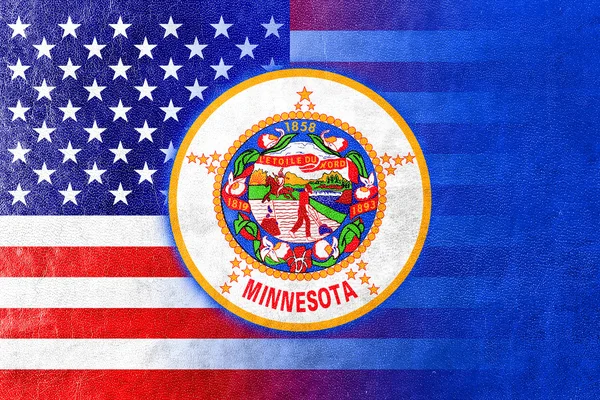 Drapeau d'État des États-Unis et du Minnesota peint sur la texture du cuir — Photo