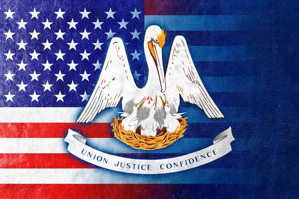 EUA e Louisiana Bandeira do Estado pintada sobre textura de couro — Fotografia de Stock