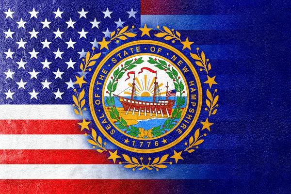 Drapeau d'État des États-Unis et du New Hampshire peint sur la texture du cuir — Photo