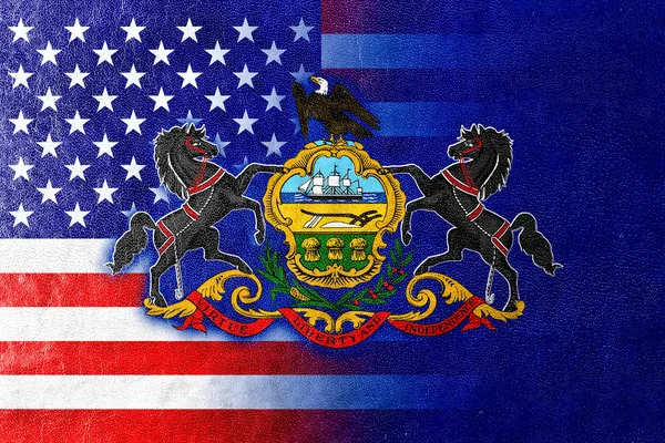 Statele Unite ale Americii și Pennsylvania State Flag pictate pe textura din piele — Fotografie, imagine de stoc