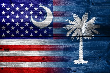 Boyalı eski ahşap tahta dokusu üzerinde ABD ve Güney Carolina Devlet bayrağı