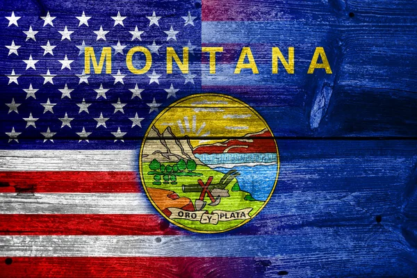 EUA e Montana State Flag pintado em madeira velha prancha textura — Fotografia de Stock