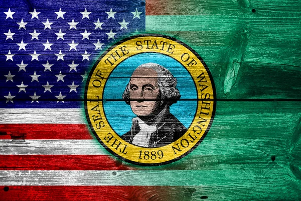 USA en Washington Braziliaanse vlag geschilderd op oude houten plank textuur — Stockfoto