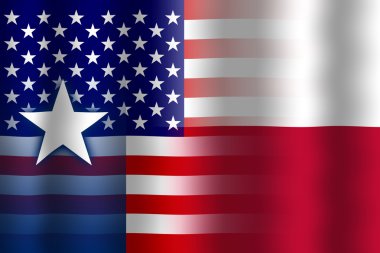 Dalgalanan ABD ve Texas devlet bayrağı