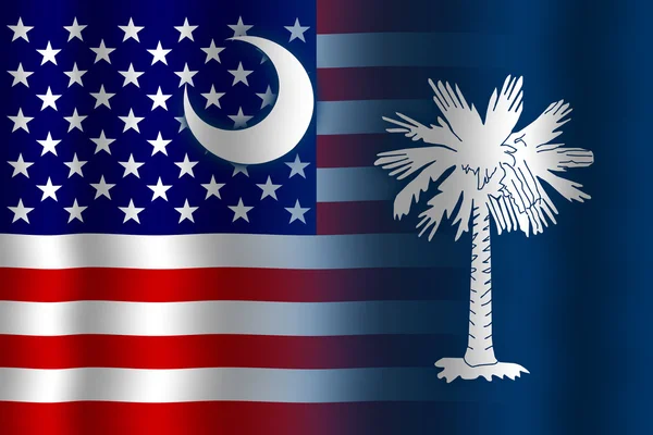 Waving USA and South Carolina State Flag — Stock Photo, Image