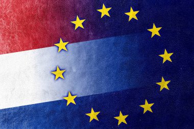 Hollanda ve Avrupa Birliği bayrağı deri dokusu üzerinde boyalı
