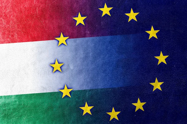 Флаг Венгрии и Европейского Союза раскрашен на кожаной текстуре — стоковое фото
